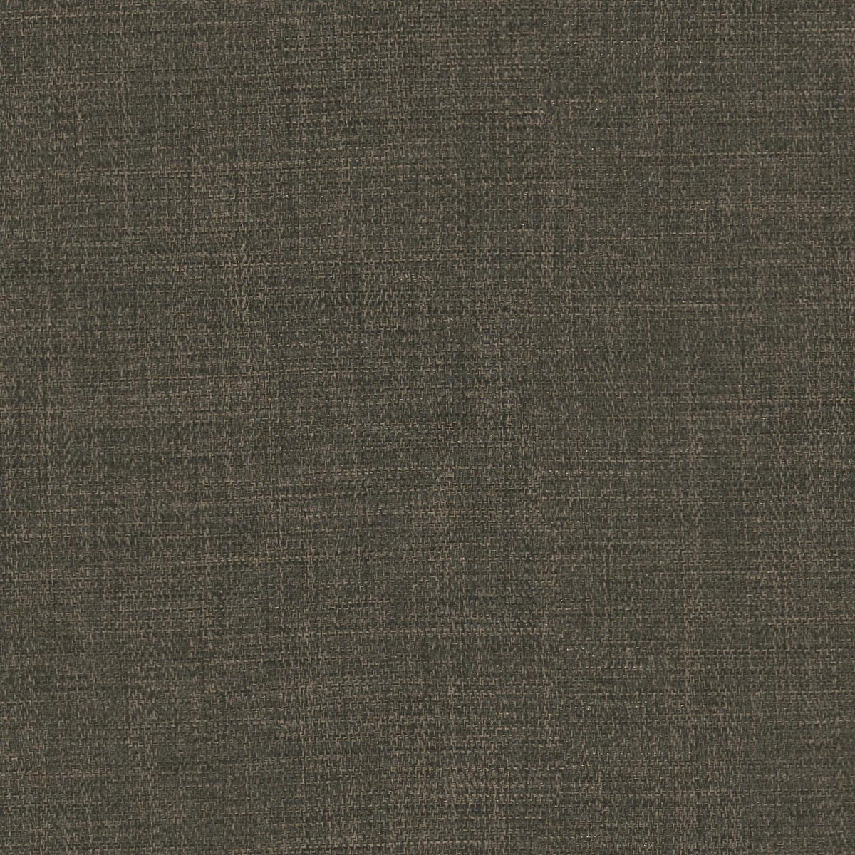 FR-One Aditya Griffin fire retardant curtain fabric