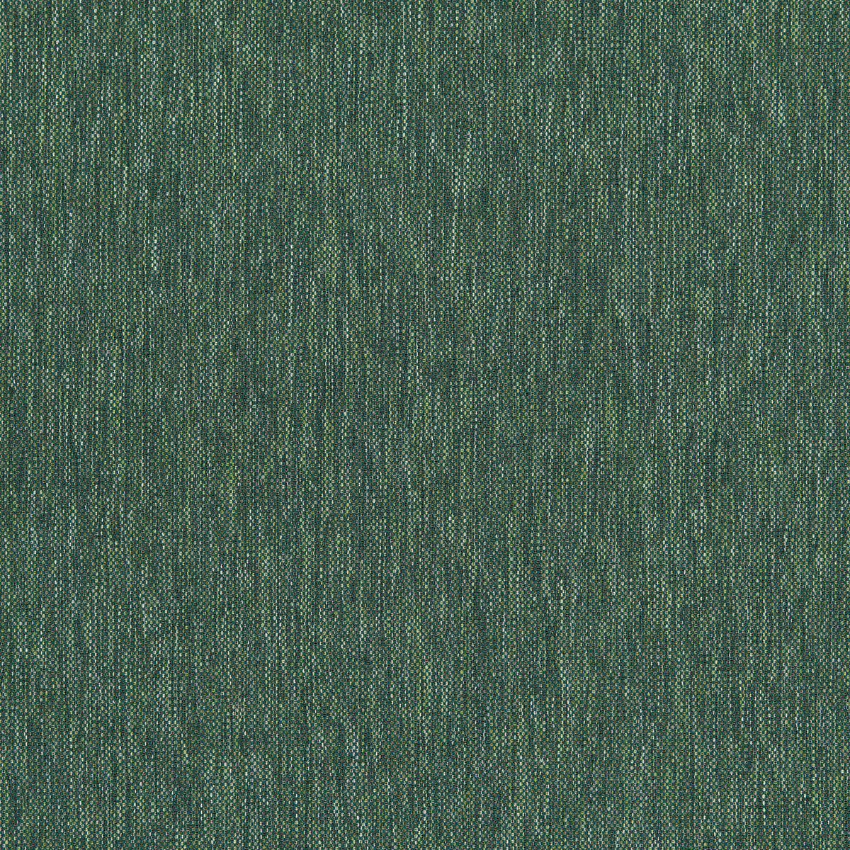 Classic Plain II Spruce