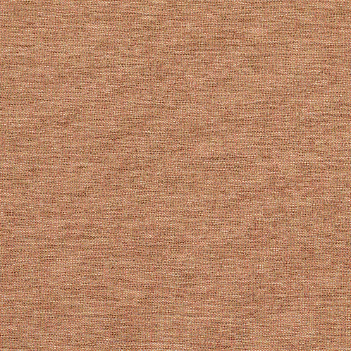 Classic Plain II Marmalade