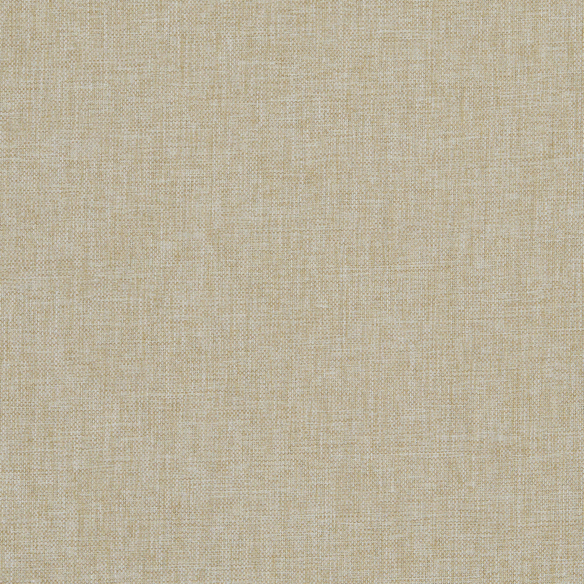 Classic Plain II Oatmeal