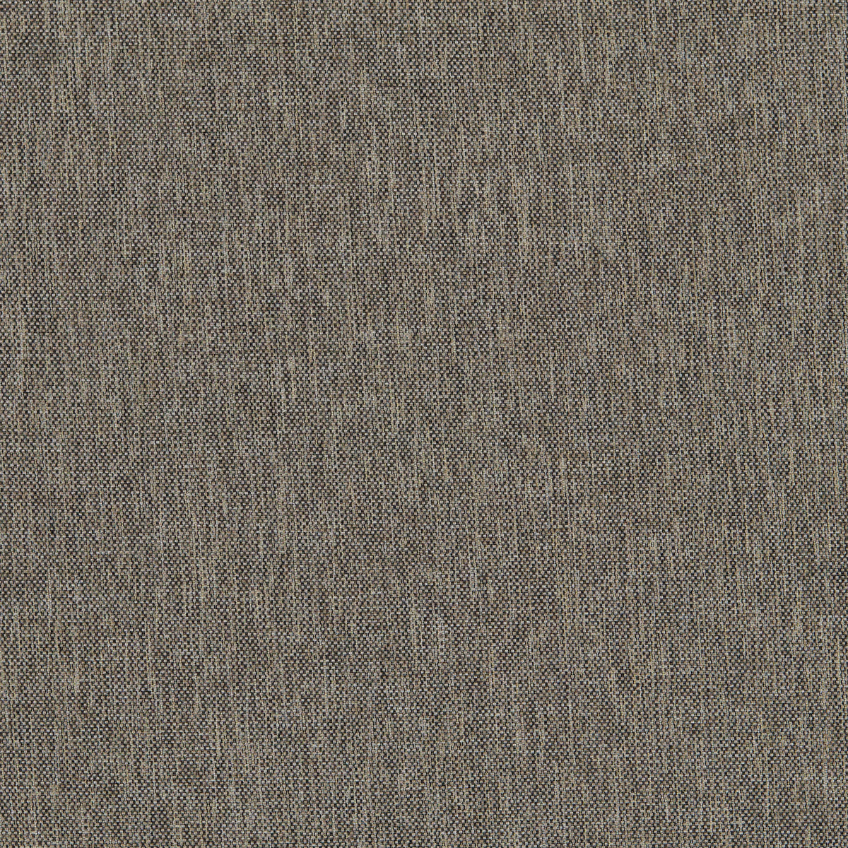 Classic Plain II Fossil