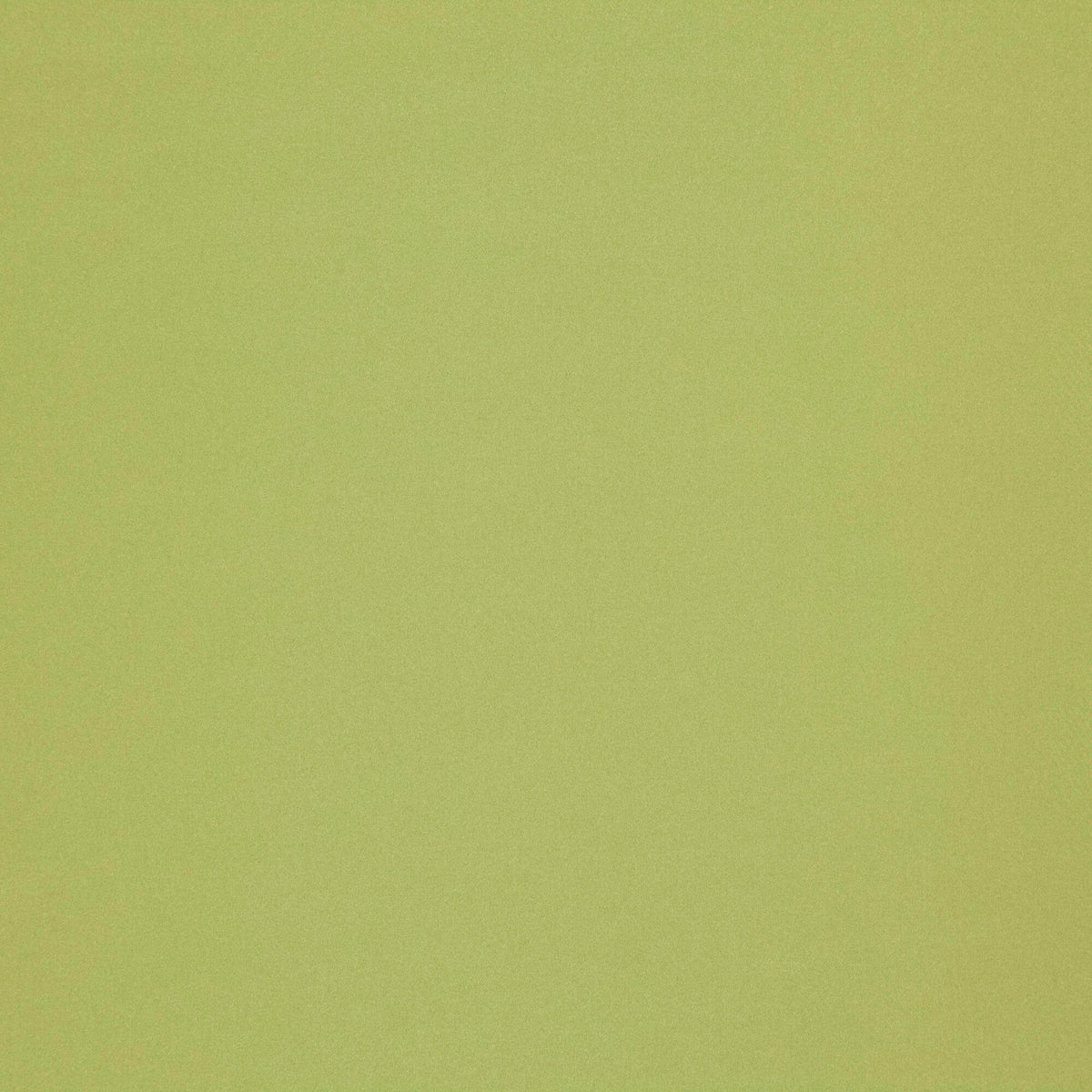 FR-One Jaime Palm fire retardant curtain fabric