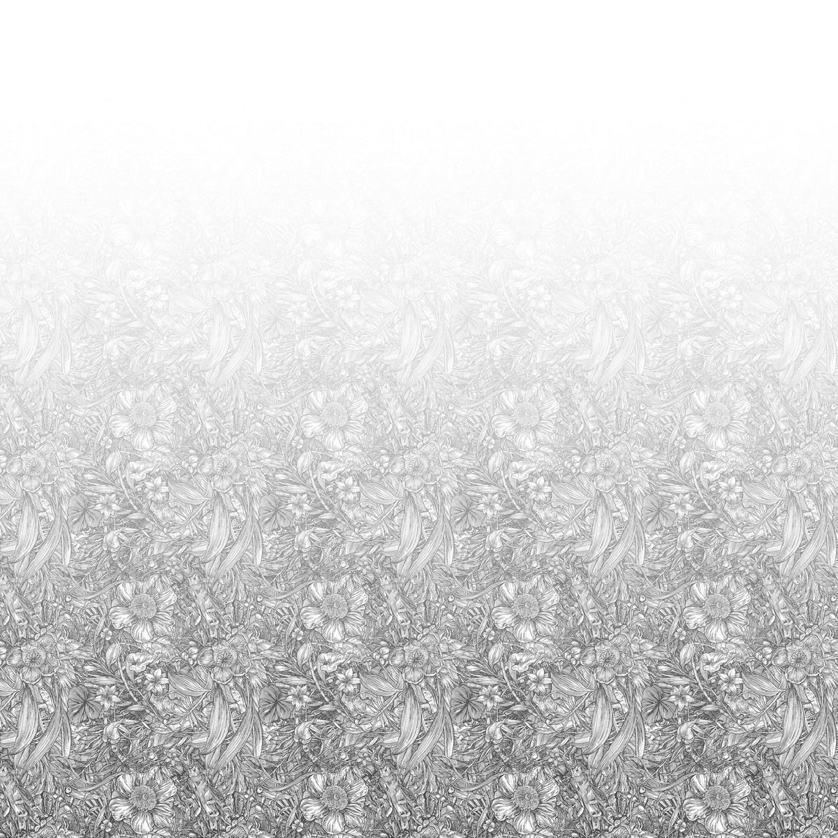 Tangle Ombre Graphite