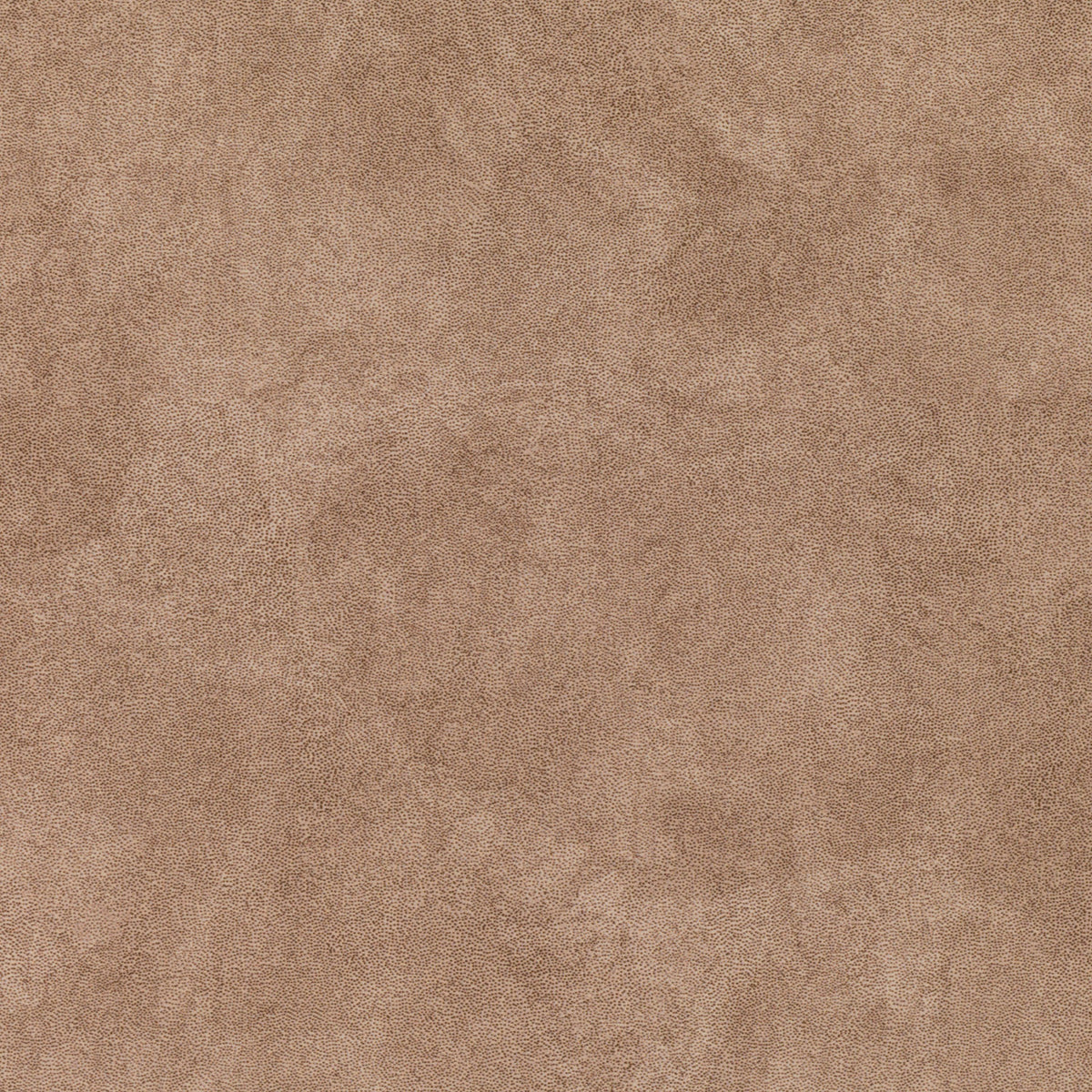 Estella Hazelnut