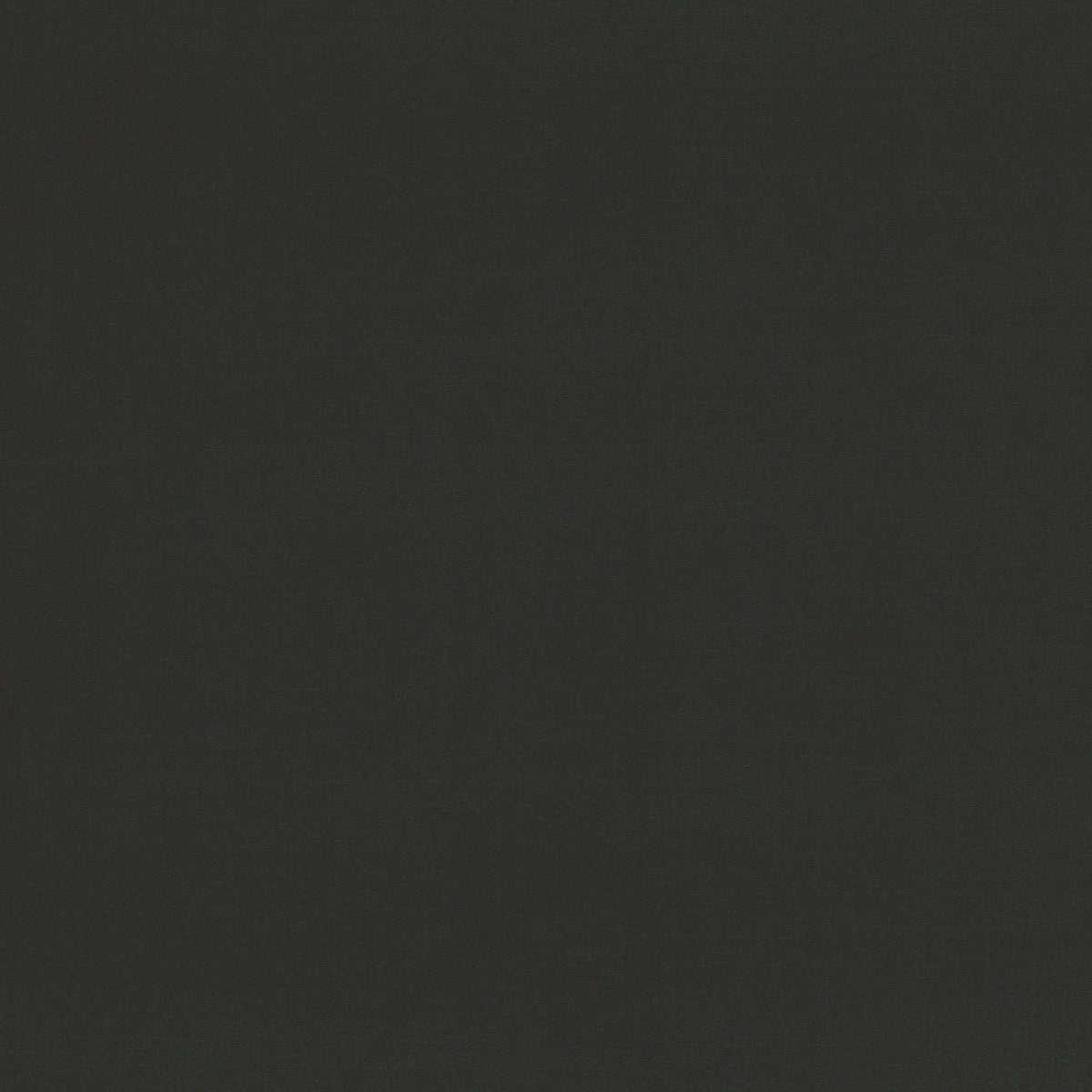 Alya FR (Reversible) Graphite