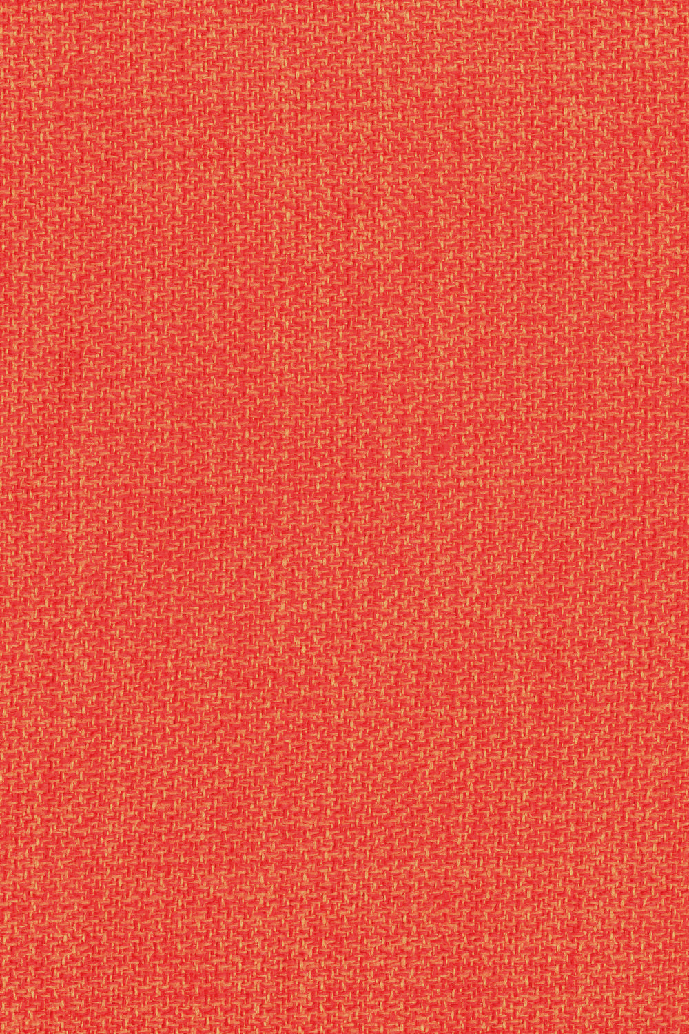 Berg Mandarin