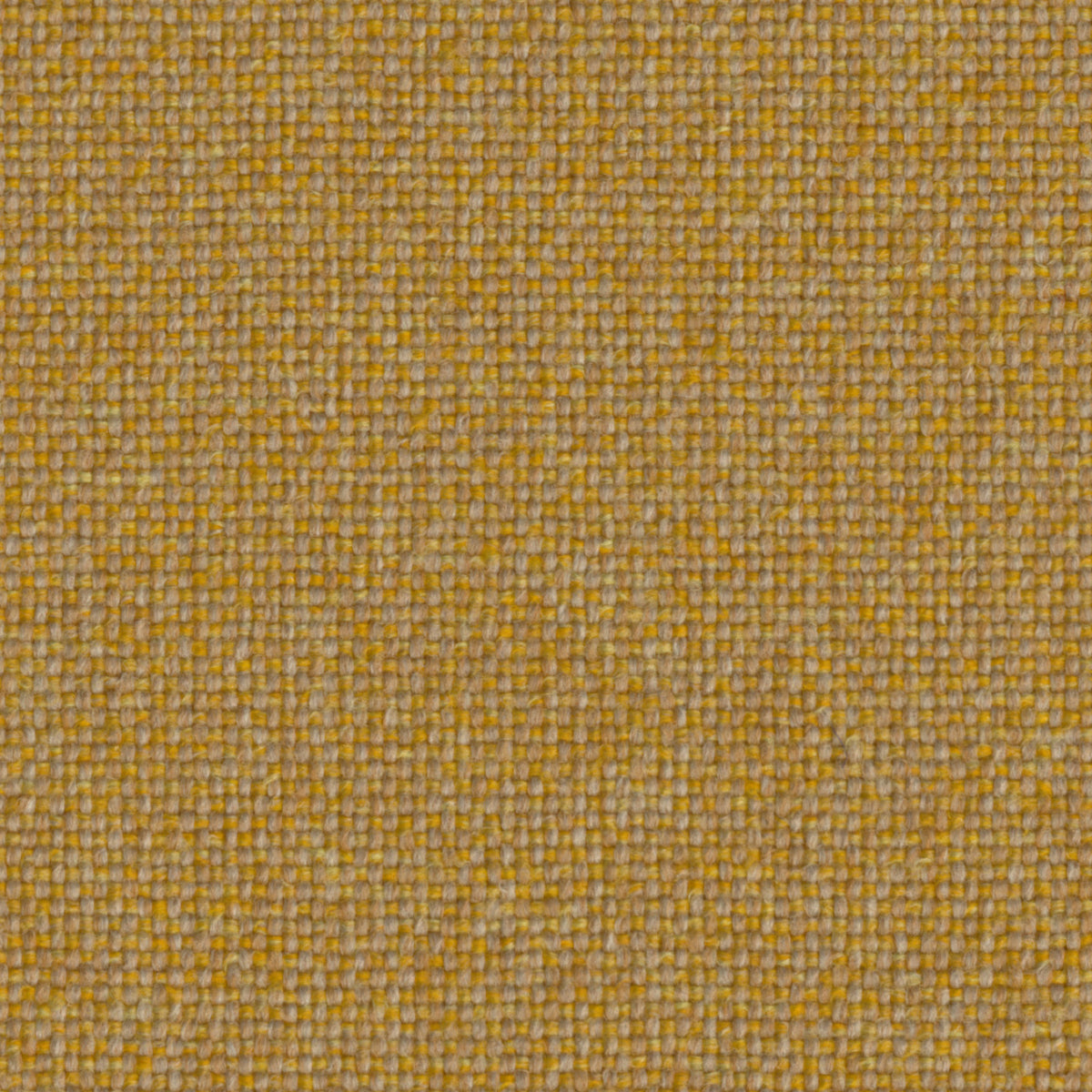 Camira Upland Amberlight