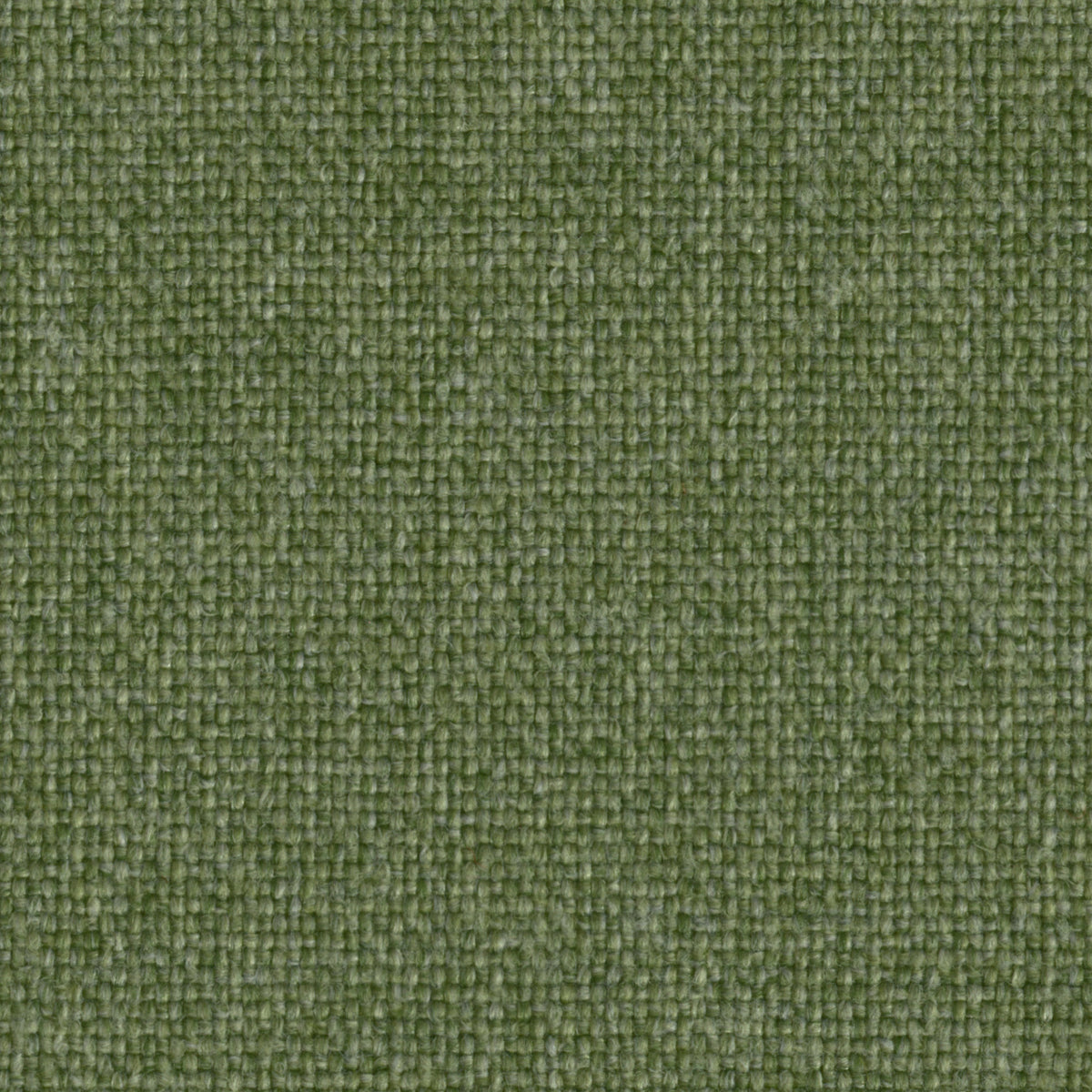 Camira Upland Lichen