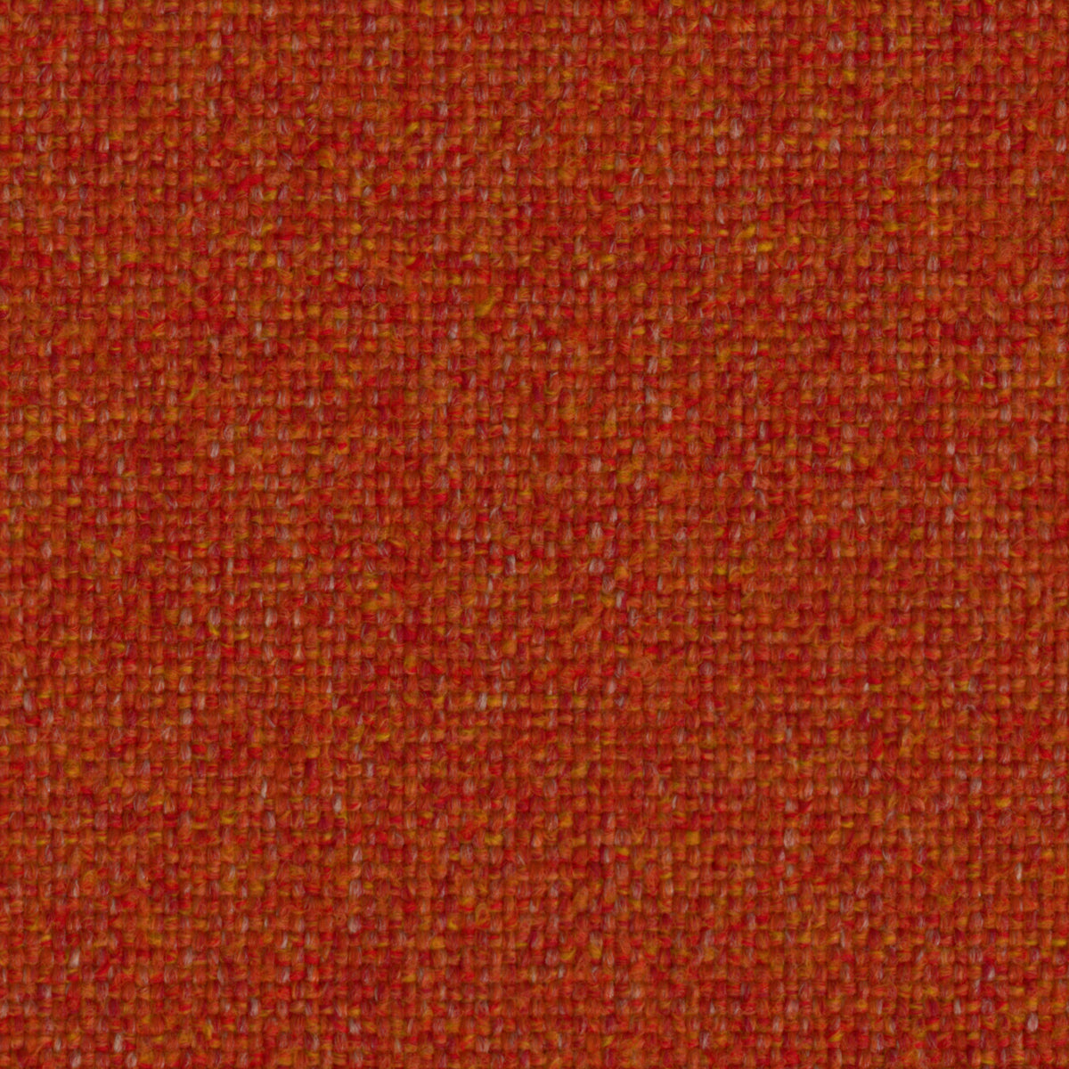 Camira Upland Copperleaf
