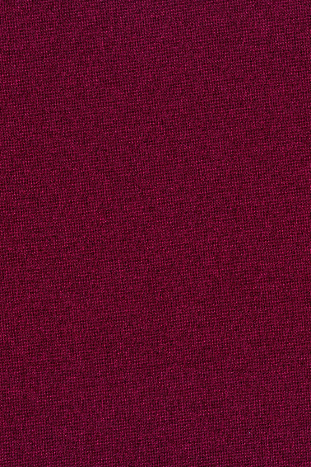Onela Coulis