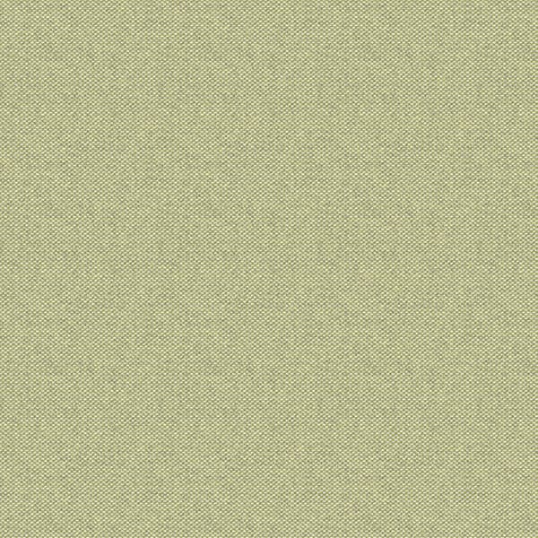 Panaz Balham 226 Lime