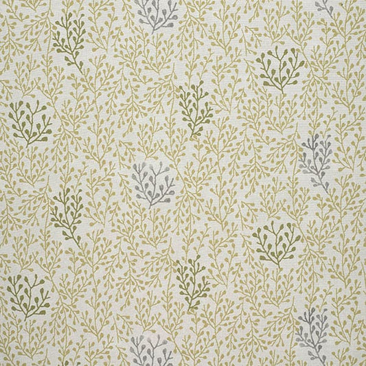 Enrich 238 Citrus