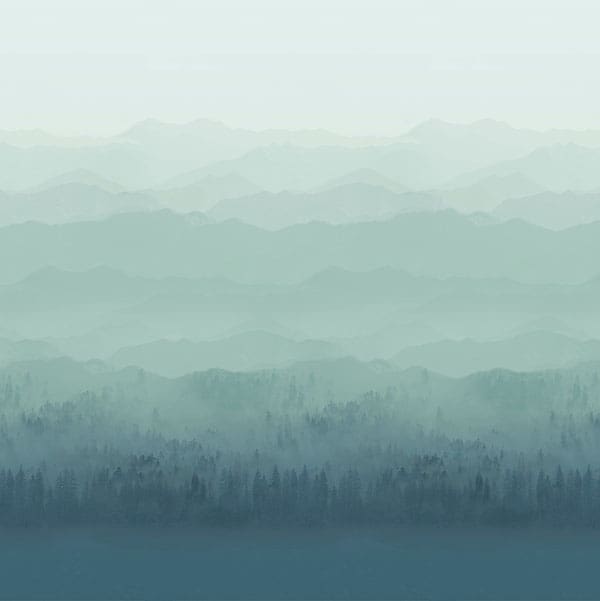 Treeline Celadon Fire Retardant Curtain Fabric