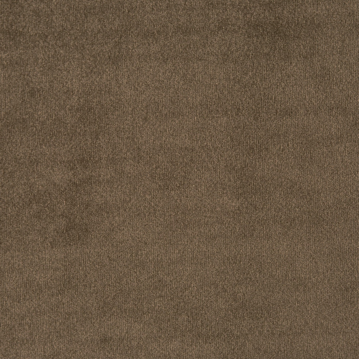 Kensington Mocha fire retardant velvet fabric