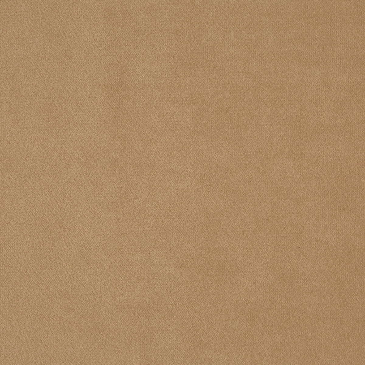 Kensington Cappuccino fire retardant velvet fabric