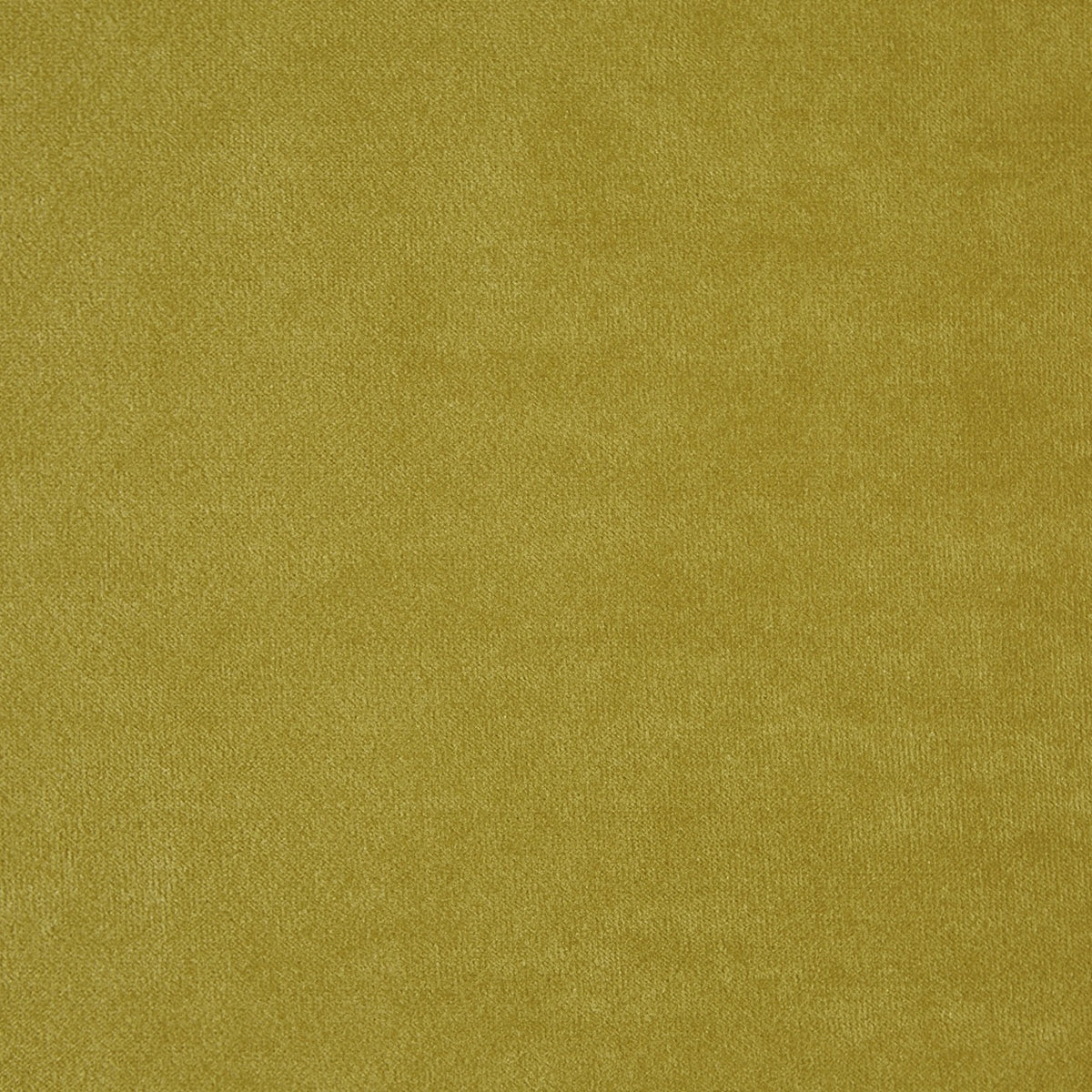 Kensington Olive fire retardant velvet fabric