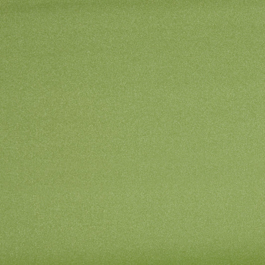 Portobello Wide Aloe fire retardant curtain fabric