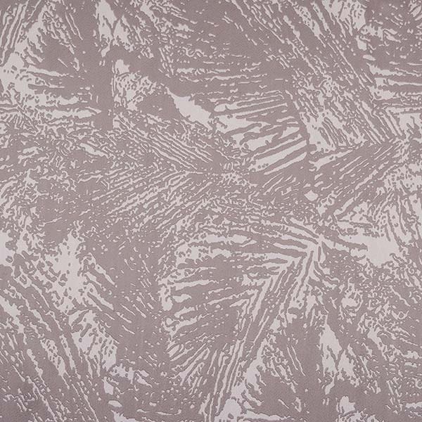 Fossil Dove