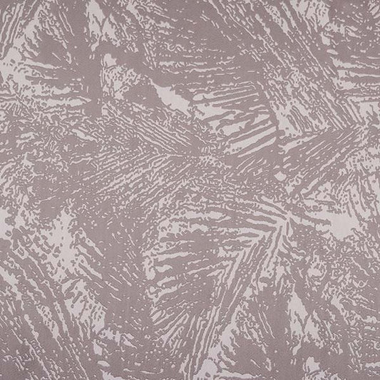Fossil Dove