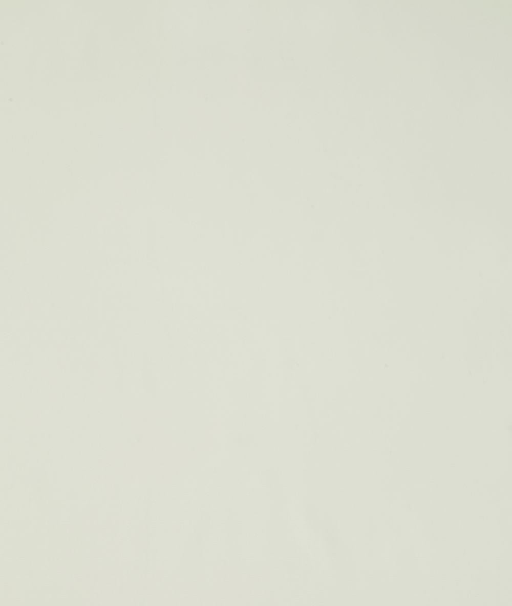 Edmund Bell Smooth Parsnip Fire Retardant Curtains