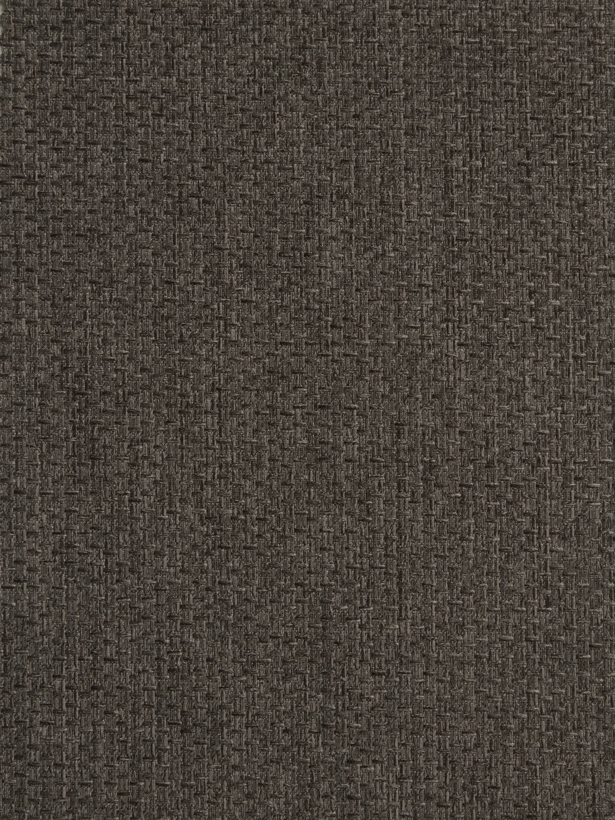 Strata Cocoa