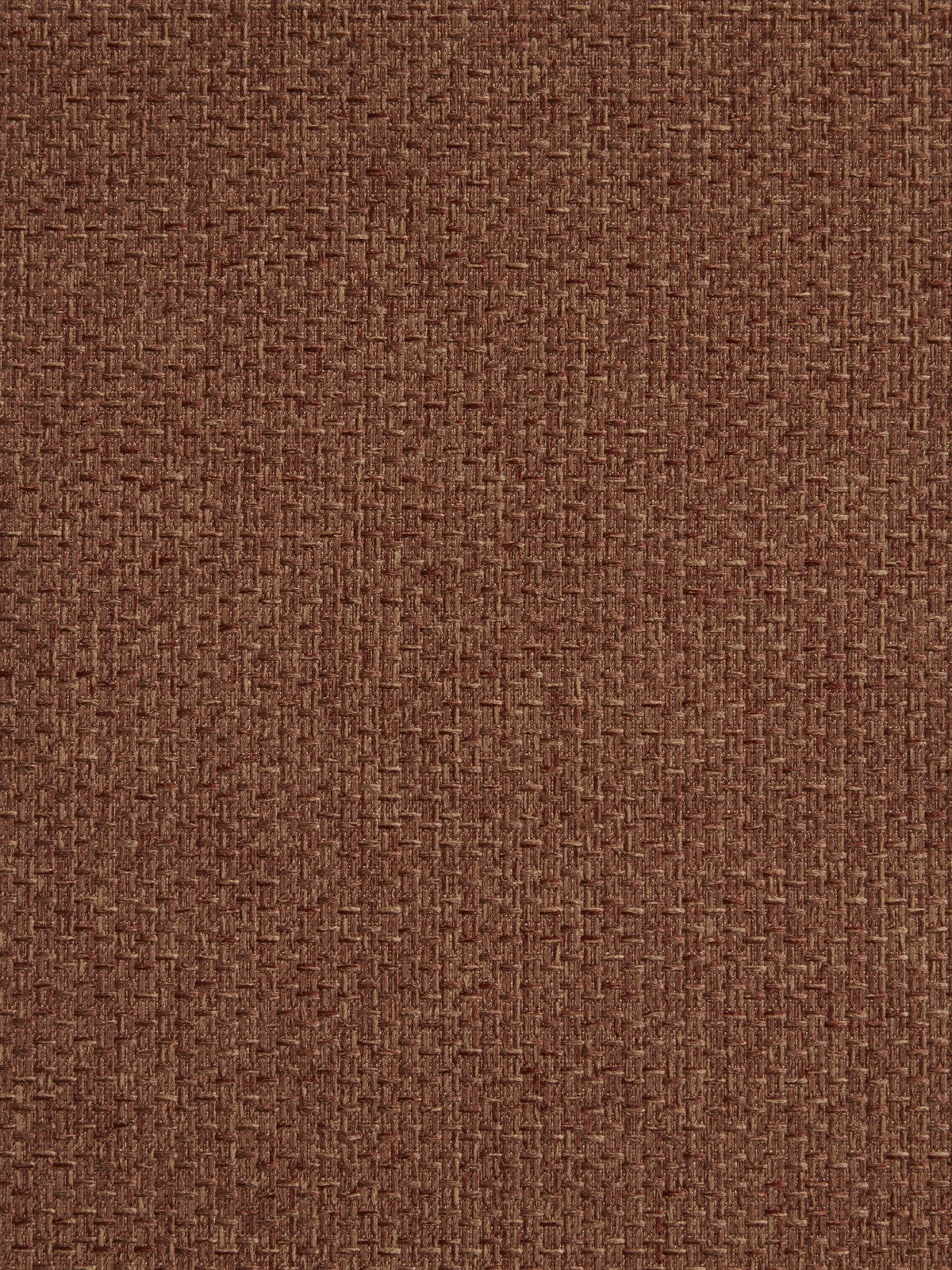 Strata Ginger
