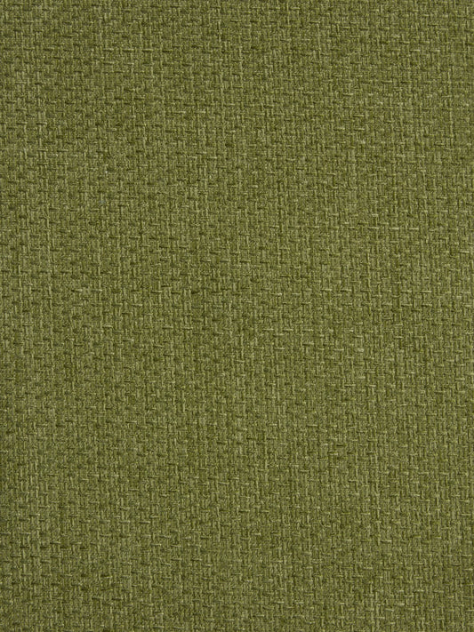 Strata Kiwi