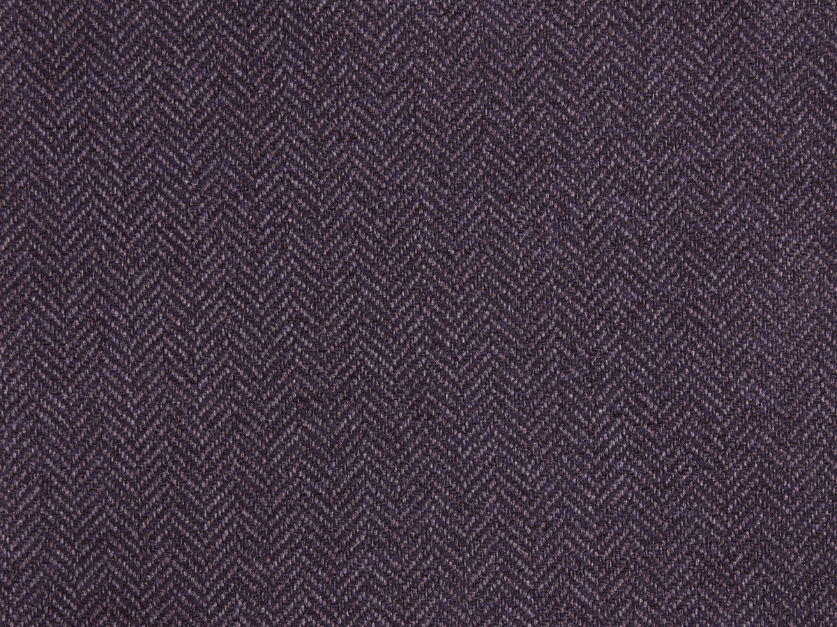 Expression FR Elderberry - flat crop