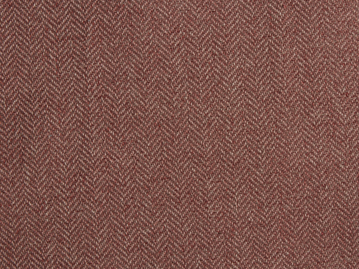 Expression FR Paprika - flat crop