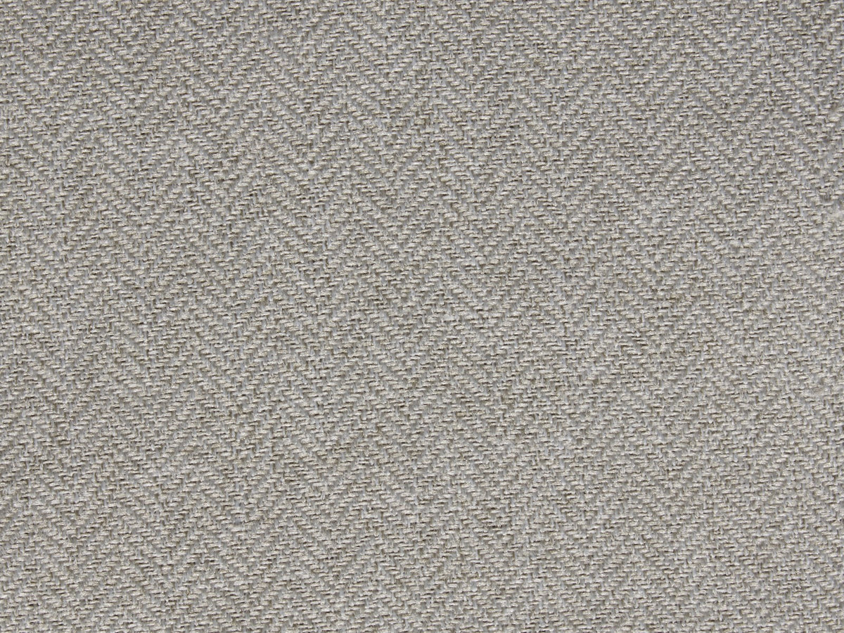 Expression FR Silver - flat crop