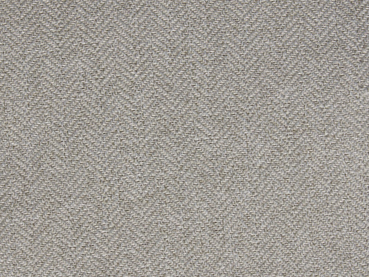 Expression FR Silver - flat crop