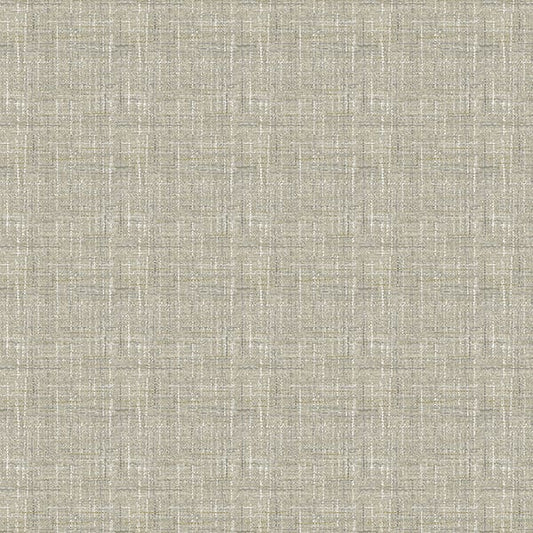 Arum 905 Dove