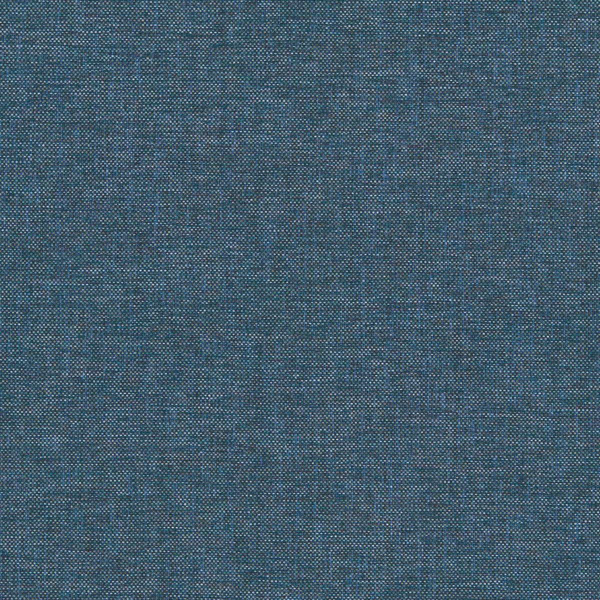 Classic Plain II Whale