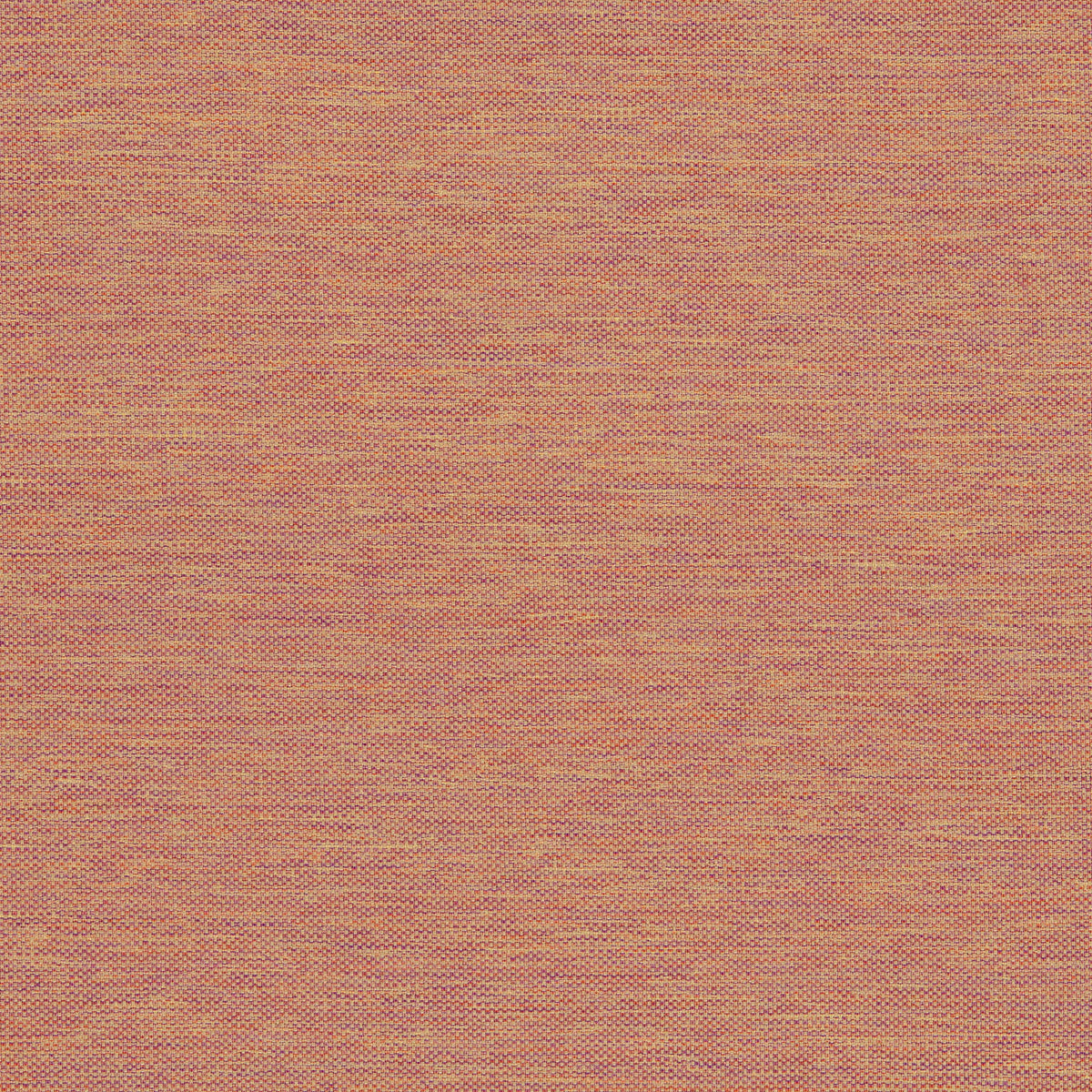 Classic Plain II Salmon