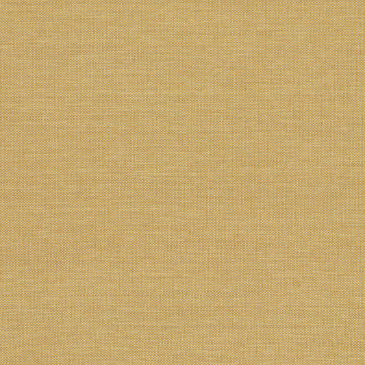 Classic Plain II Straw