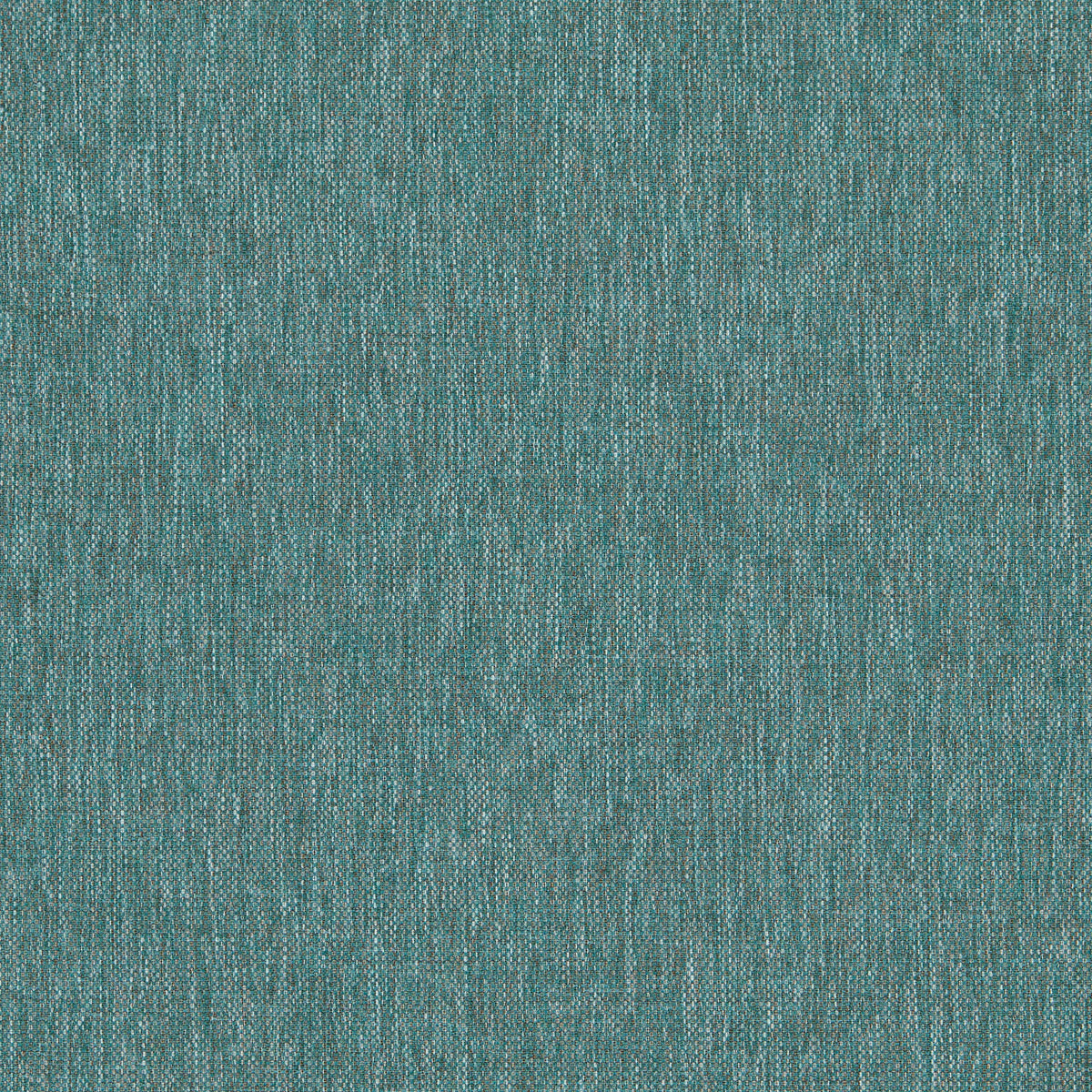 Classic Plain II Peacock