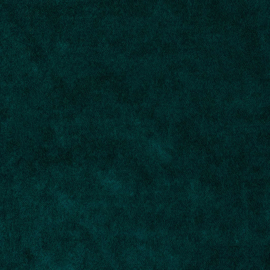 Enchant Evergreen