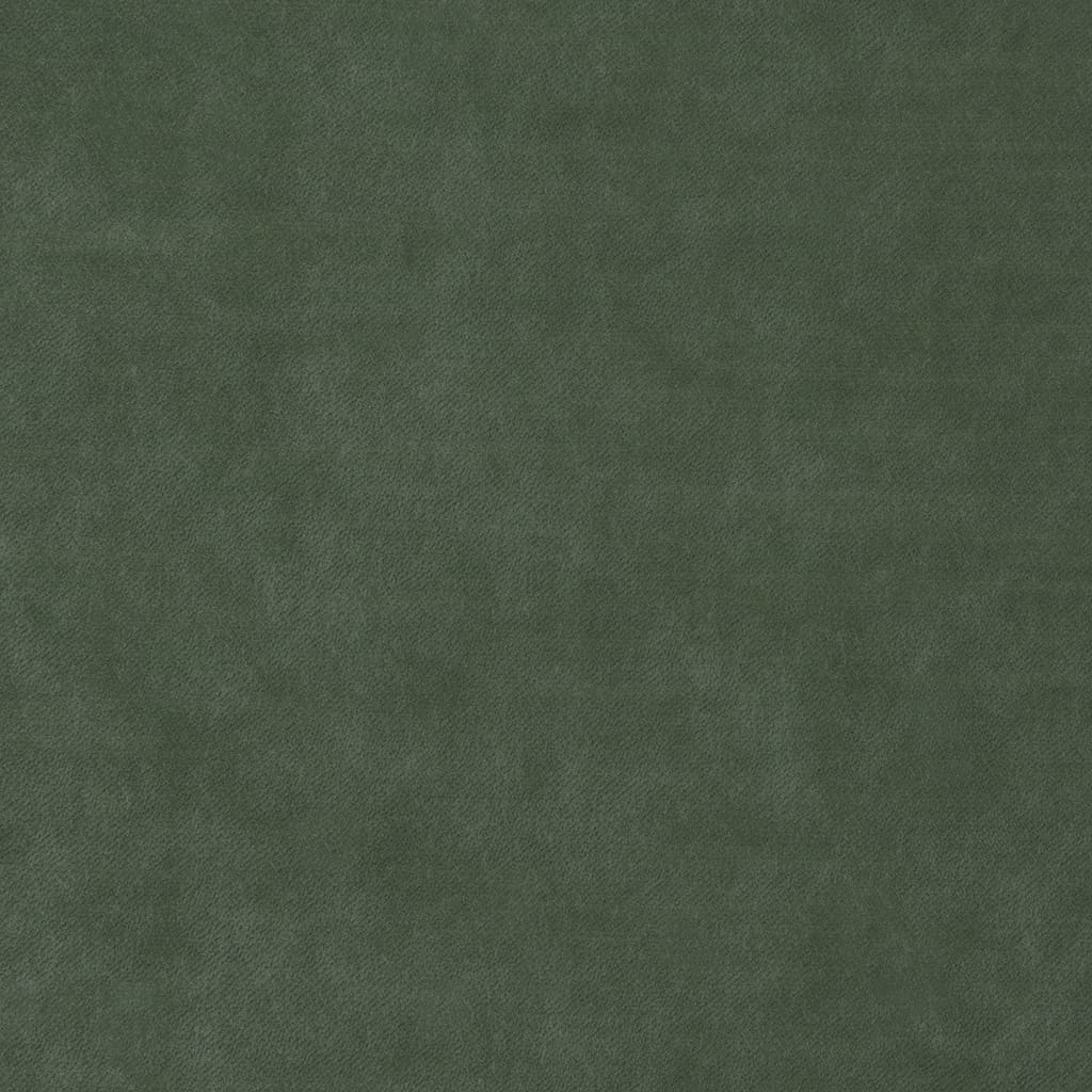 Enchant Elm