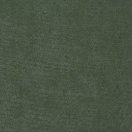 Enchant Elm