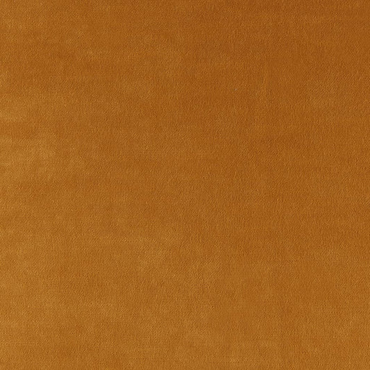 Enchant Mustard
