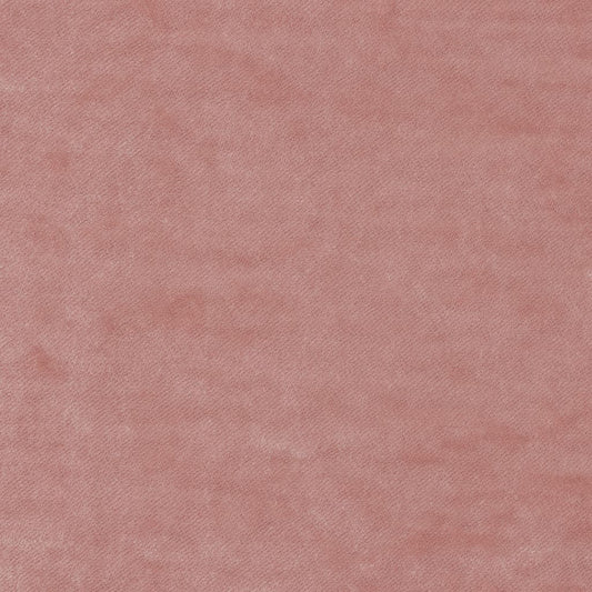 Enchant Blush