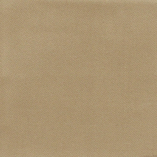 Bancroft Encore Velvet Champagne Fire Retardant Curtains