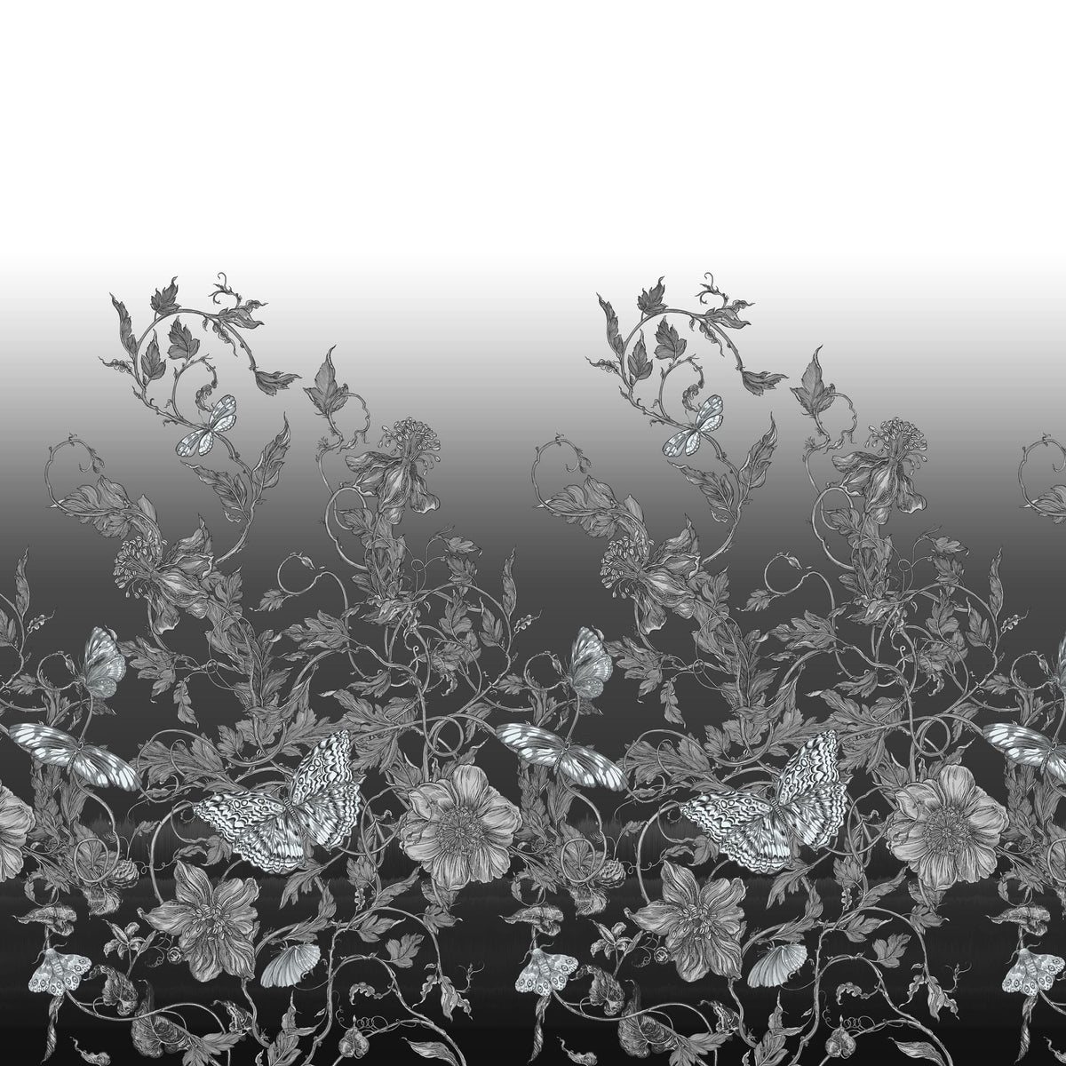 Flight Ombre Graphite