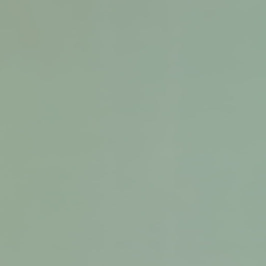 Gemini Elm Option A