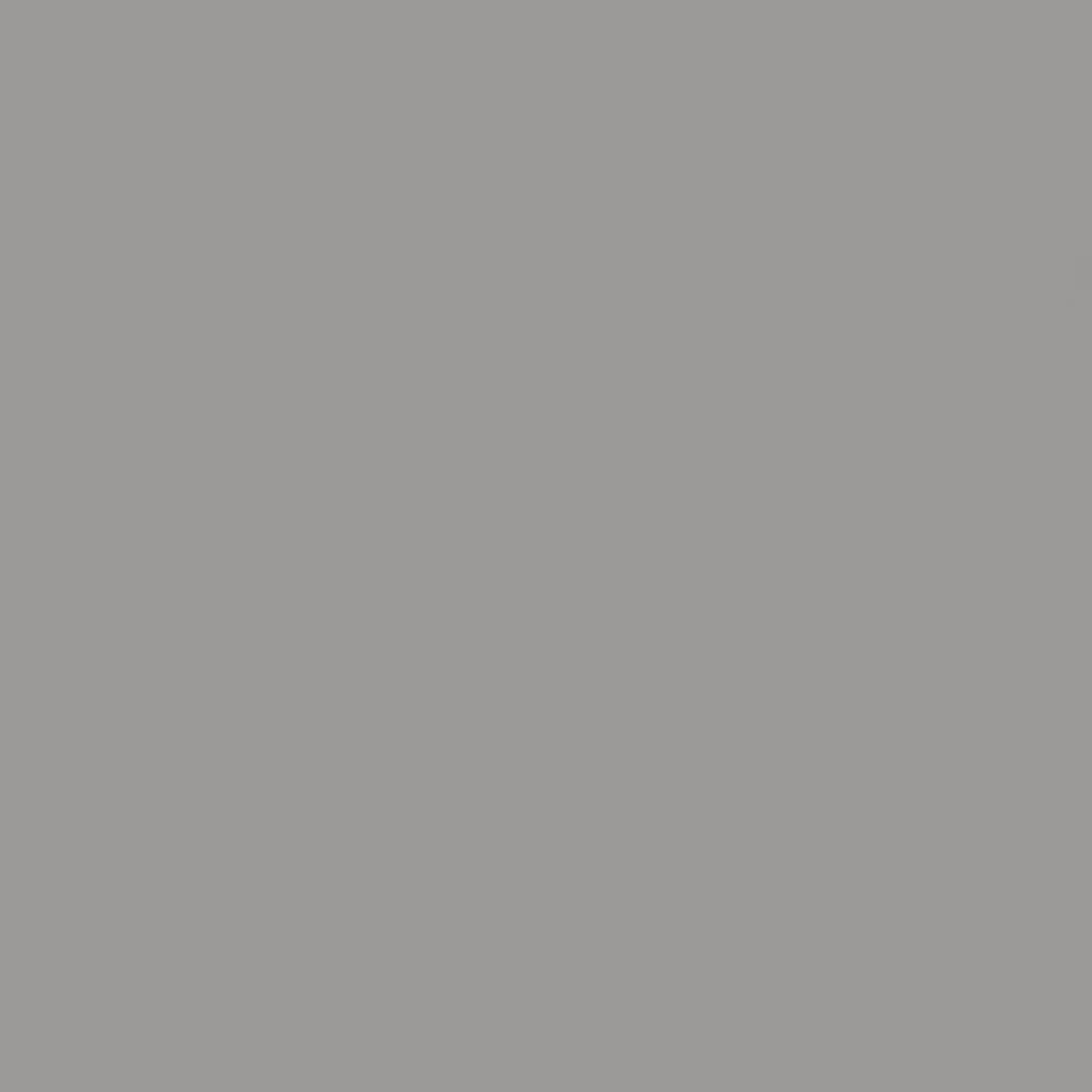 Gemini Silver Option A