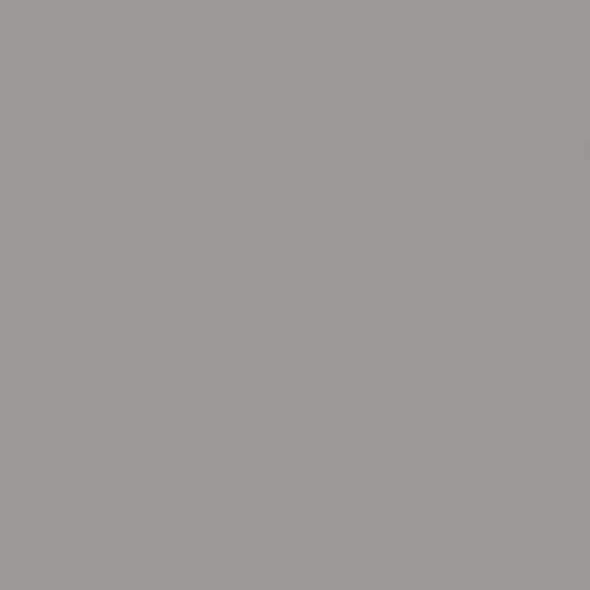 Gemini Silver Option A