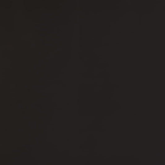Gemini Slate Option B