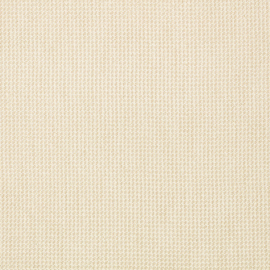 Kirkby Design Curio Drape FR Pearl fire retardant curtain fabric