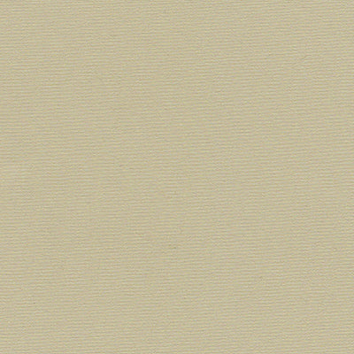 Bancroft Lynx Beige Fire Retardant Curtains