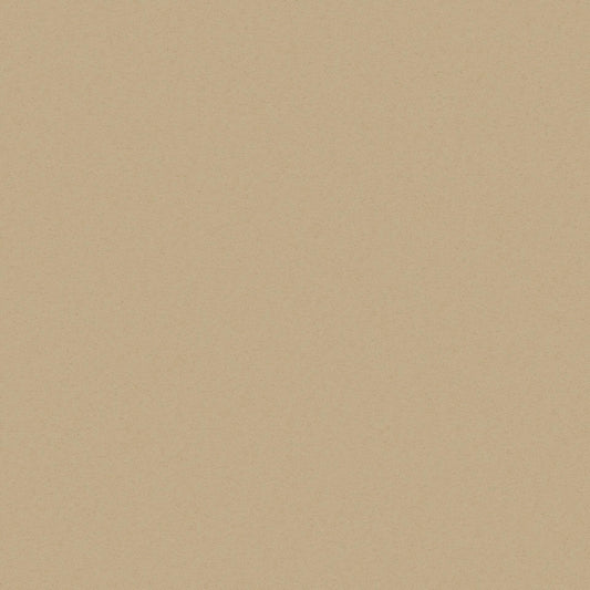 FR-One Starlight Camel fire retardant curtain fabric
